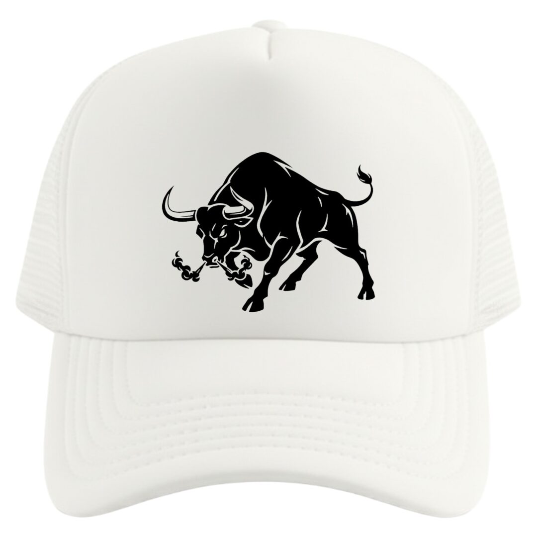 gorra toro bravo