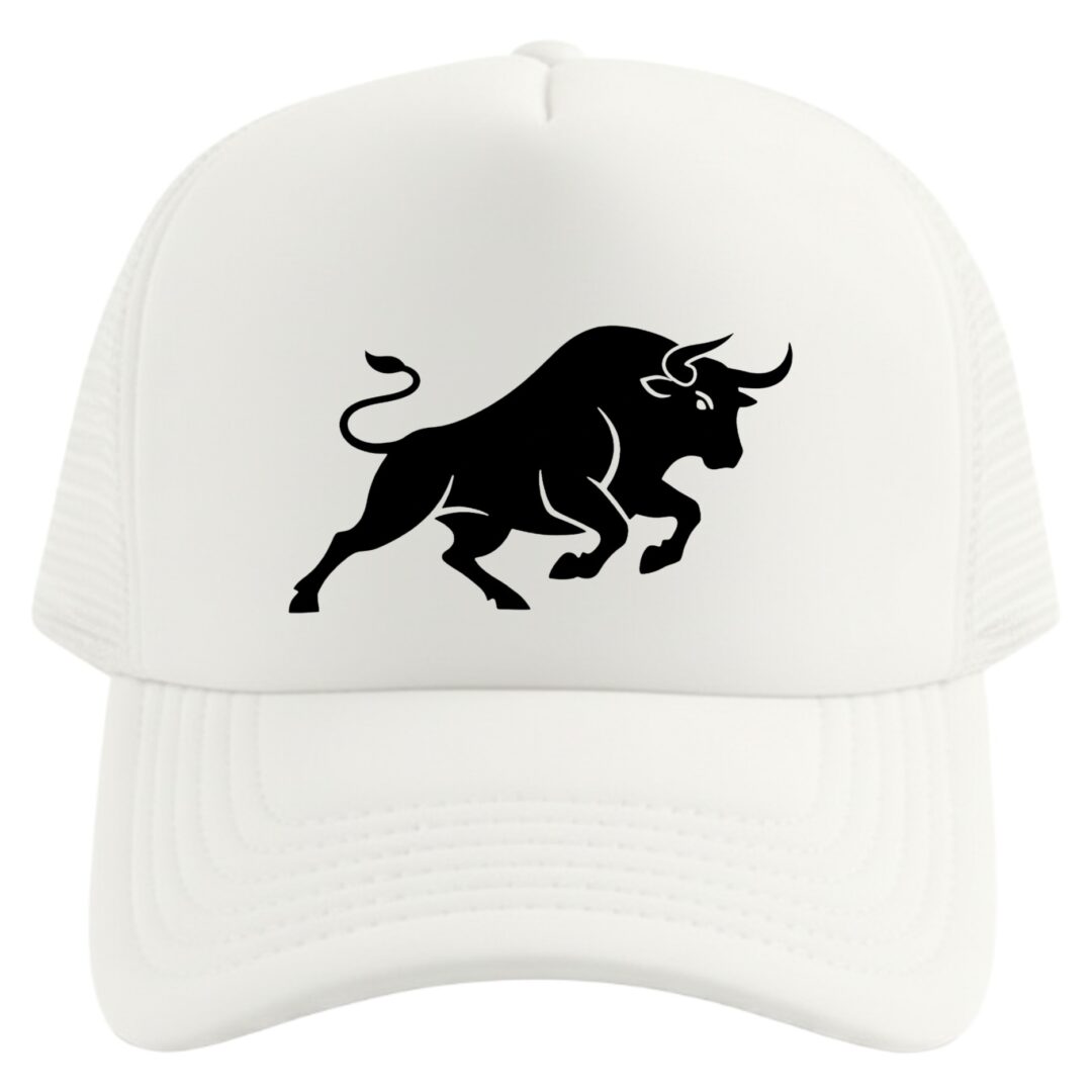 gorra toro  de lidia